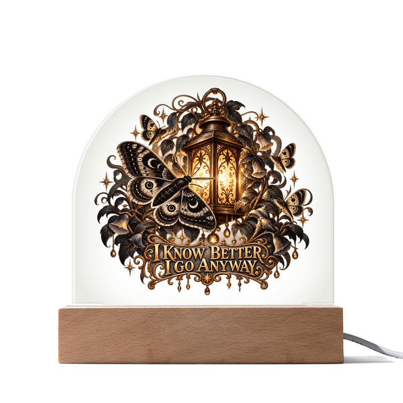 I Know Better I Go Anyway moth and lantern LED acrylic dome lamp