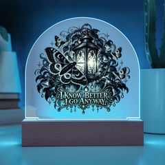 Moth and lantern acrylic lamp glowing with blue LED light